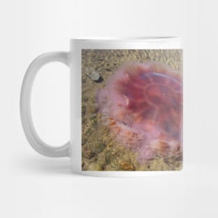 Washed Up Lion's Mane Jellyfish Photo Mug